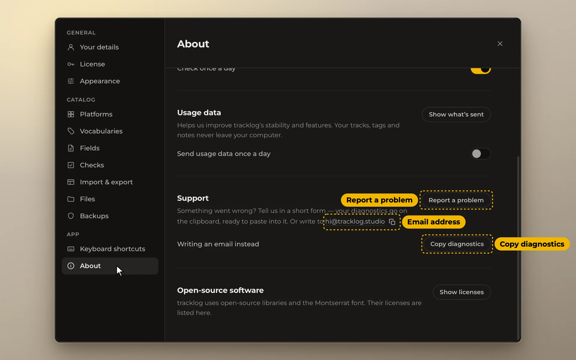 Settings, About, with Report a problem, Copy diagnostics and the email address framed